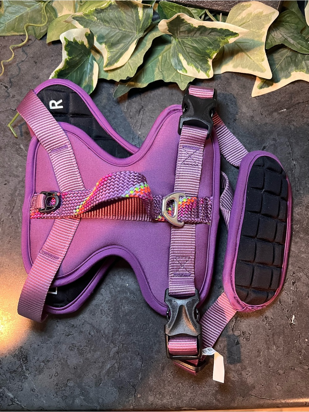 Arcadia Trail Neoprene Dog Harness PURPLE PADDED SIZE SMALL